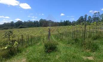 Imagem 5: TERRENO COMERCIAL em JUNDIAÍ - SP, HORTO FLORESTAL