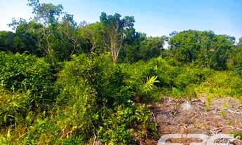 Imagem 6: Terreno | Balneário Barra do Sul