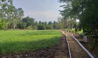 Imagem 5: Chácara na Beira do Lago