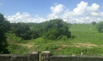 Imagem 6: Excelente Fazenda com 137 hectares a um km centro de São Pedro do Potengi
