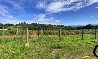 Imagem 6: Sítio de 5,9 ha em Lomba Grande - Novo Hamburgo - RS