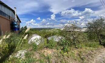 Imagem 2: Amplo terreno industrial no bairro Tamandaré!