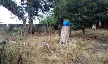 Imagem 3: Casa Casa com 3 dormitórios