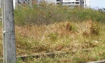 Imagem 3: Terreno à venda com 450m², Jardim Renascença, São Luís