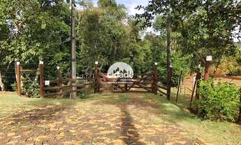 Imagem: M A R A V I L H O S A oportunidade para