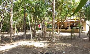 Imagem: Chácara em Cesarina - GO. 1.590 metros