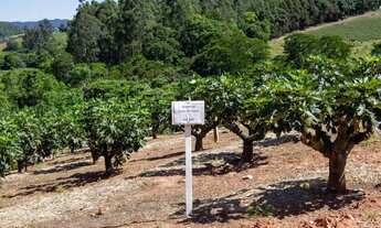 Imagem 7: Sítio à venda, 57000 m² por R$ 1.300.000 - Morungaba - Morungaba/SP