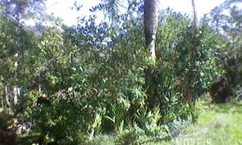 Imagem 4: Terreno,VENDA,Vargem Grande,Florianópolis-COD2134