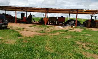 Imagem 5: FAZENDA 175 ALQ, PASTO COM APTIDÃO PARA CAFÉ OU GRÃOS - Sul de Minas Gerais