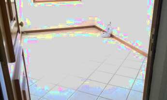 Imagem 6: Apartamento para comprar no bairro Jardim Sabará - Porto Alegre com 3 quartos