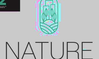 Imagem 3: Lote/Terreno a venda no Tabapuá em Caucaia - CE - Próximo ao Assai da Mister Hull