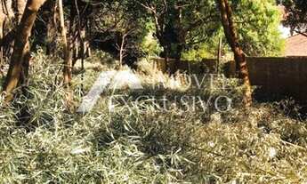 Imagem 5: Lote/Terreno à Venda, Chácaras Pedro Corrêa de Carvalho - Ribeirão Preto