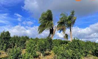 Imagem 6: Área à venda, 24.200 m² por R$ 540.000 - Rio Do Salto - Cascavel/PR