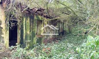Imagem 7: Área de terras com vista e riacho em Linha Nova na Serra Gaúcha