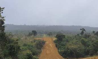 Imagem 3: Espetacular chácara de 15 mil metros