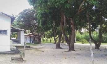 Imagem 5: Sítio / Chácara À Venda, 60000 M² - Pindoretama/ce