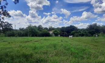 Imagem 4: Fazendinha 85 Hectares!!!!!Otima Estrutura!!!