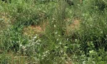 Imagem 5: Area 20 mil Terreno / lote com venda por R$20.000