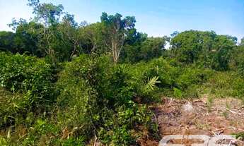 Imagem 13: Terreno | Balneário Barra do Sul