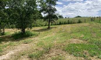 Imagem 7: Chácara em Cosmopolis