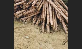 Imagem 5: Espetacular chácara de 15 mil metros