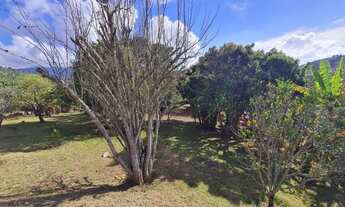 Imagem 7: LINDO SÍTIO NO BREJAL - GRANJA MAFRA