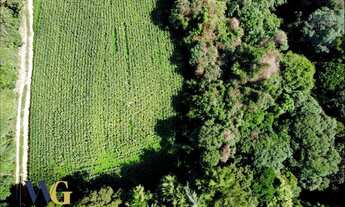 Imagem: Terreno Rural para Venda em Campo Largo