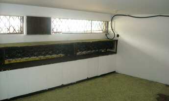 Imagem 3: Ponto comercial/Loja/Box para aluguel possui 100 metros quadrados em Méier - Rio de Janeir