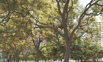 Imagem 4: Lt; More com excelência - Garden Village