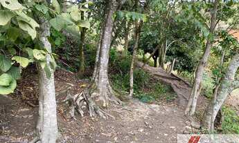 Imagem 6: Sitio a venda em Jacutinga- Minas Gerais