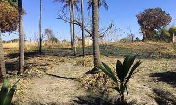 Imagem 6: Fazenda/Sítio/Chácara para venda tem 20.000 m² com 4 quartos