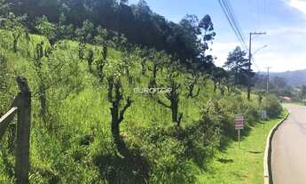 Imagem 6: Terreno em Tamandaré com 86,11m de frente!