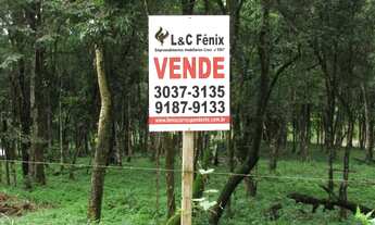 Imagem 1: Terreno para Venda em Colombo, Das Graças, 1 banheiro