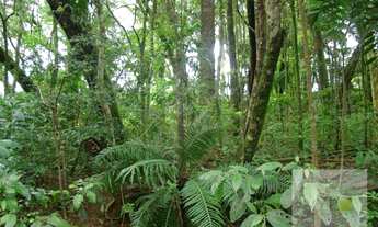 Imagem 5: Venda terreno Vista Alegre testada 72,30