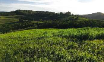Imagem 2: Lote/Terreno para venda tem 1000 metros quadrados em Centro - Mairiporã - SP