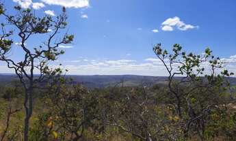 Imagem 2: Terreno com 20.000 metros quadrados com preço a partir de 140.000