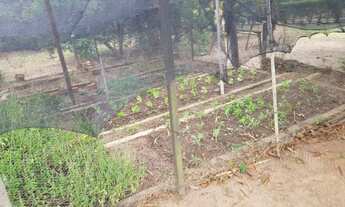 Imagem 5: CHACARA 5000M DENTRO DE CONDOMINIO - ITU - SAO PAULO