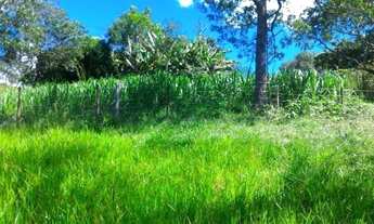 Imagem 6: Sítio em Edilandia GO