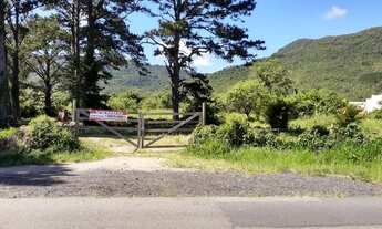 Imagem: Grande área no Ribeirão da Ilha em Florianópolis