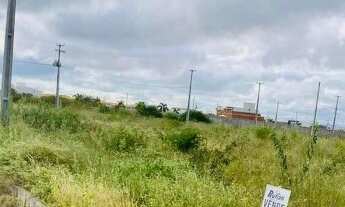 Imagem: 3 (três) Terrenos -Loteamento Nova Petrolina