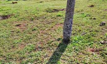 Imagem 5: Lote/Terreno para venda com 600 metros quadrados em centro - Igaratá - São Paulo .s