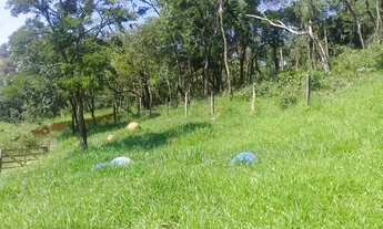 Imagem 7: AREA P/ DESDOBRO 2 ALQUEIRES - Moreiras Mairinque - Com 5 Chácaras de 10.000 m. quadrados