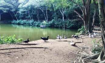 Imagem: Alugo Casa de alto padrão no Condomínio