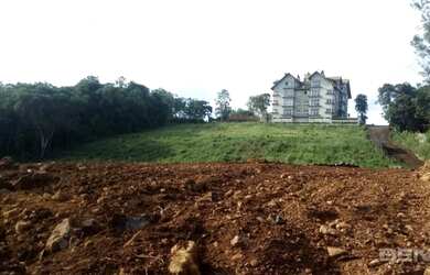 Imagem 2: GRAMADO - Terreno Padrão - CARAZAL