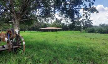 Imagem 2: Fazendinha 85 Hectares!!!!!Otima Estrutura!!!