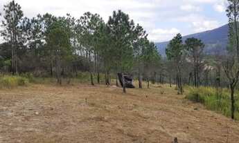 Imagem 4: Lote/Terreno para venda tem 1000 metros quadrados em Centro - Mairiporã - São Paulo=