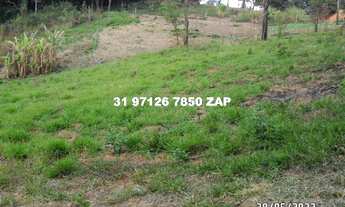 Imagem 4: Lindas chácaras em Ravena de 1.000 mts planas terra de cultura a 800 mts do asfalto