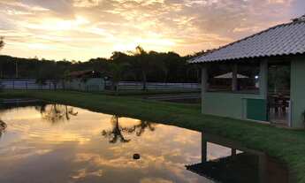 Imagem 7: Fazenda/sítios/chácaras com 2 dormitórios à venda em Igarapé