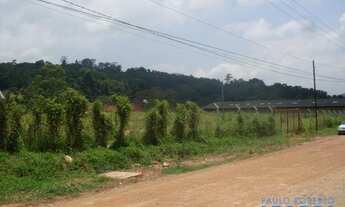 Imagem 2: TERRENO - VILA SANTO ANTÔNIO - SP