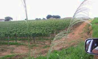 Imagem 2: SITIO EM INDAIATUBA NA VIDEIRA 27.500M2